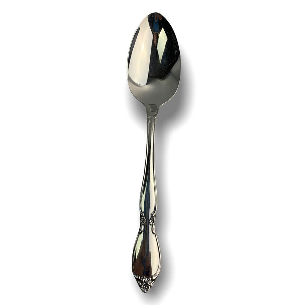 Vintage Oneida Community Stainless Steel Chatelaine Teaspoon 6" Glossy
